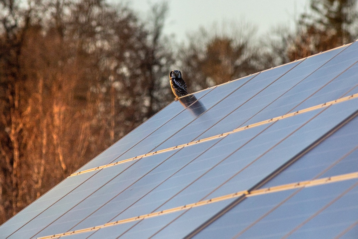 Advantages of Off-Grid Solar Systems