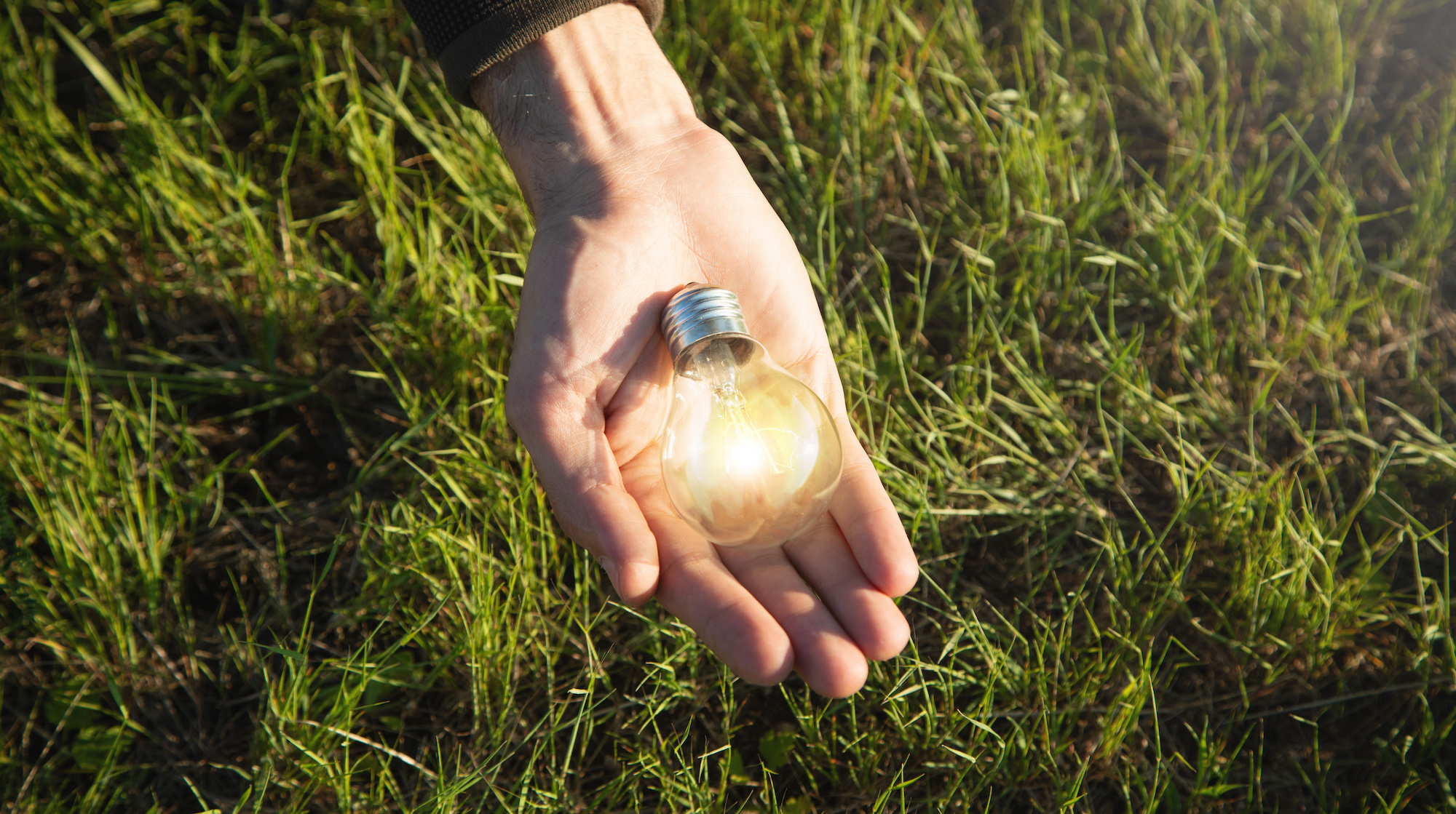 Synergy Energy, a wholistic energy provider in South Africa